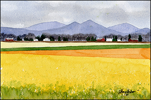 Fields of Gold